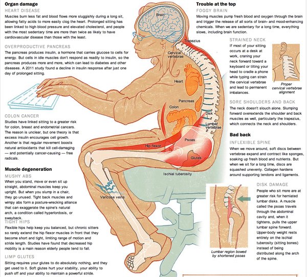 Šta se dešava sa mišićima kod dugog sedenja