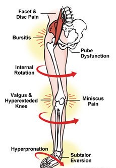 bol u zglobu ispod koljena