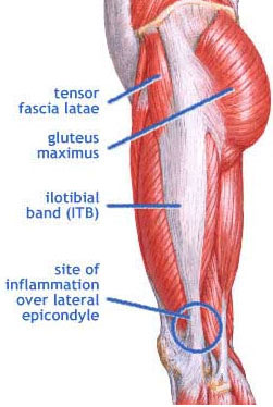 bol u zglobu ispod koljena