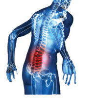 Vežbe za bol u donjem delu leđa